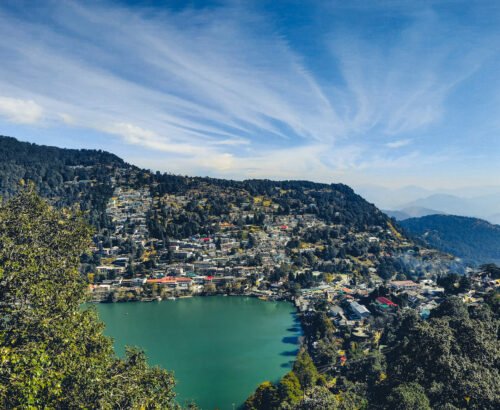 photo-1639053417427-0eefa1f7df07